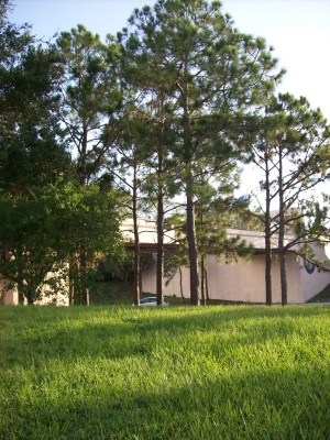 main_33-1000050106114.jpg