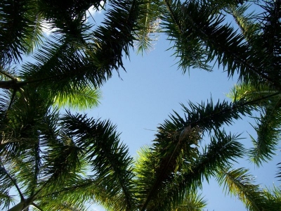main_36-1000053106117.jpg