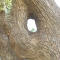 Wonders happen if we can succeed