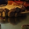 polymer rocks around the base