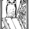 Libris Craft Owl Libris Craft Owl