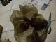 very large tissue flower