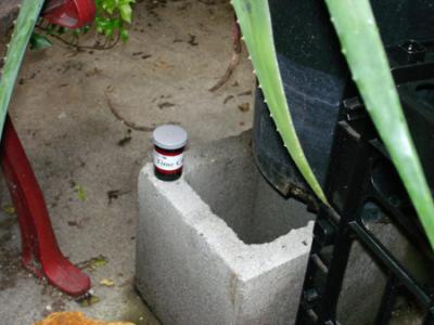 Capsule placed in Garden