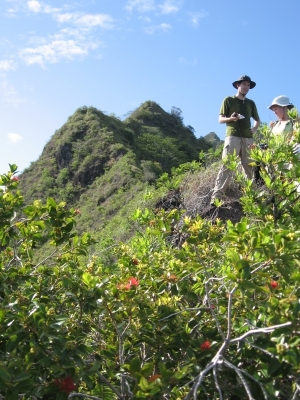 David Hembry, Entomologist