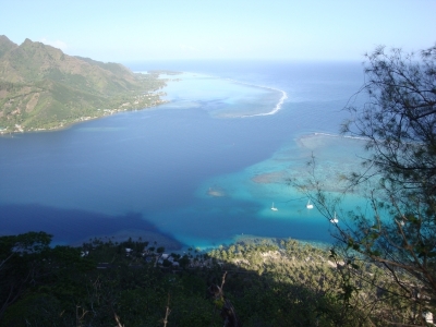 A view