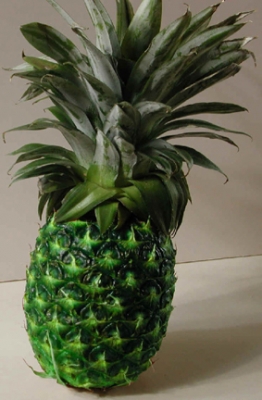 pineapplegonegreen.jpg
