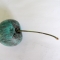 cherry.jpg