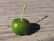 cherrygonegreen.jpg