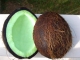 Coconutgonegreen.jpg