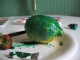 paintinglemon.jpg