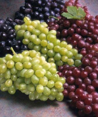 grapes.bmp