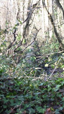 03 The start of the pipe.jpg