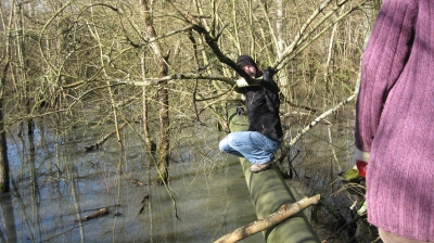 08 With many obstacles.jpg