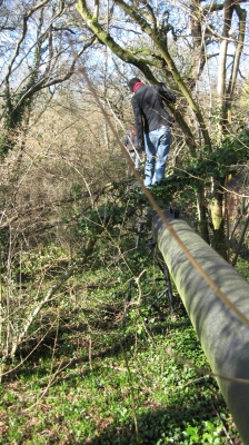 13 A little bit higher.jpg