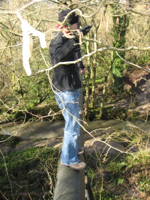 14 Higher than it looks.jpg