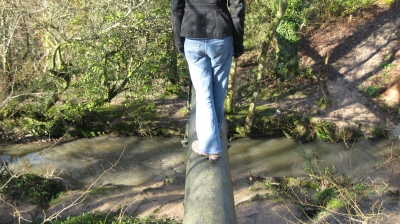 16 Legs wobbly now.jpg