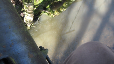 21 But I'm still trying to get across the river.jpg 21 But I'm still trying to get across the river.jpg