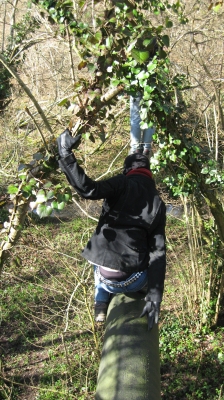 23 More obstacles.jpg