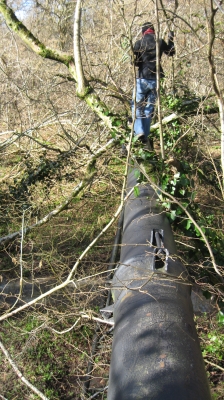 24 This thing goes on forever.jpg