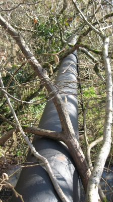 25 This thing really goes on forever.jpg