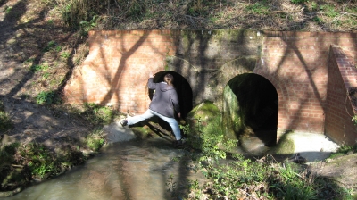 33 Found some tunnels.jpg