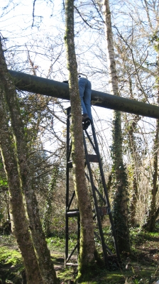 34 Yoda got a bit stuck.jpg 34 Yoda got a bit stuck.jpg