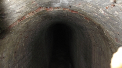 38 Want to get in there.jpg