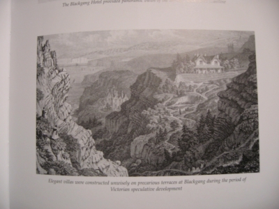 silly victorians.JPG