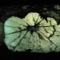 09 Observation window.jpg