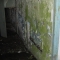18 Old battery, through bars.jpg