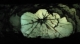 09 Observation window.jpg