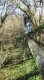 13 A little bit higher.jpg