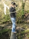 14 Higher than it looks.jpg