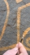 15 Graffiti.jpg