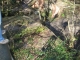 15 Shadows show how high we are.jpg