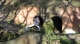 33 Found some tunnels.jpg