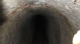 38 Want to get in there.jpg
