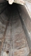 69 looking up.jpg