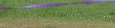 ribbon.JPG