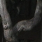 trunk.JPG