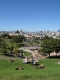 sf.JPG