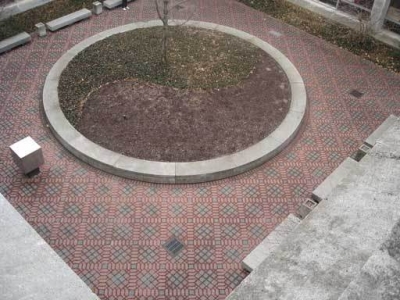 atrium taunting undergrads with sunlight