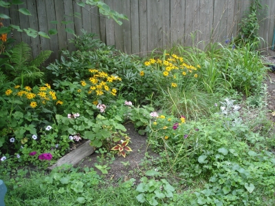 Sunny suburban garden-- decidedly not goth. 