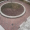 atrium taunting undergrads with sunlight