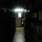 dark, scary book stacks 