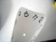 DSC01084.jpg