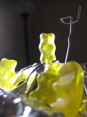 One small step for bear...