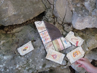 The artifacts in situ