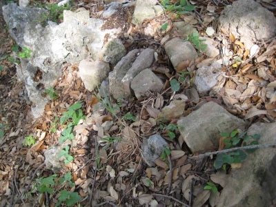 ROCKS NOT OF THIS WORLD!!!!