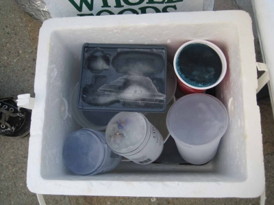 What's in the Cooler?  What's in the Cooler?